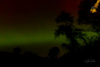 Northen Light - Aurora