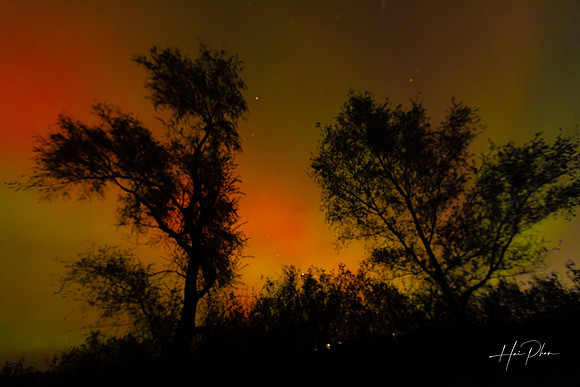 8K2A1956