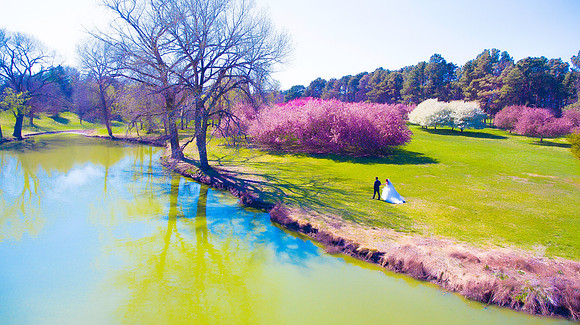 DJI_0119