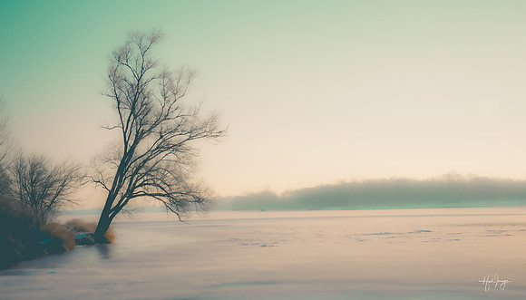 Landscpate-2 (3)