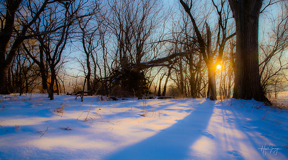 Landscpate-2 (2)