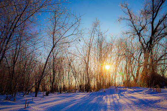 Landscpate-2 (5)