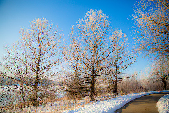 Landscpate-2 (10)