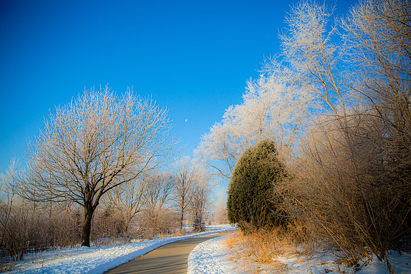 Landscpate-2 (11)