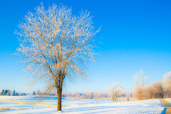 Landscpate-2 (12)