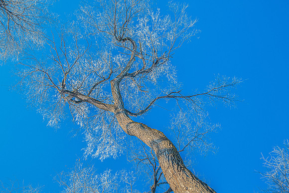 Landscpate-2 (14)