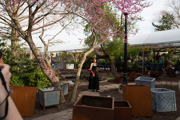 1Z3A6119